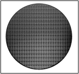 Text Box:  